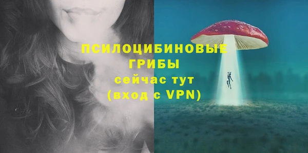 не бодяженный Краснотурьинск