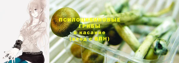 PSILOCYBIN Красноперекопск