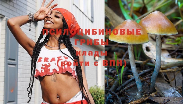 спайс Краснослободск