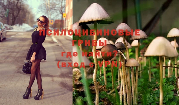 apvp Козельск