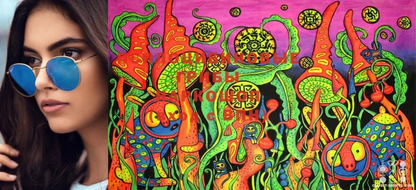 PSILOCYBIN Красноперекопск