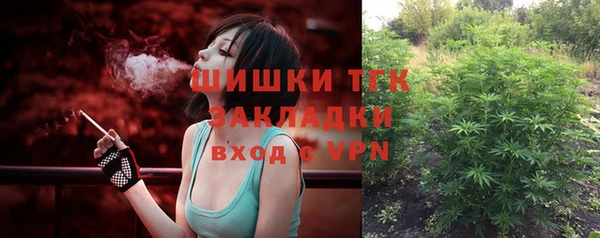 PSILOCYBIN Кинешма