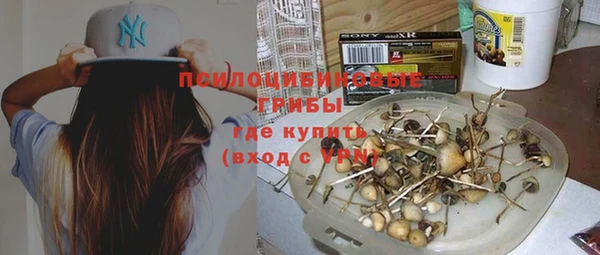 PSILOCYBIN Красноперекопск