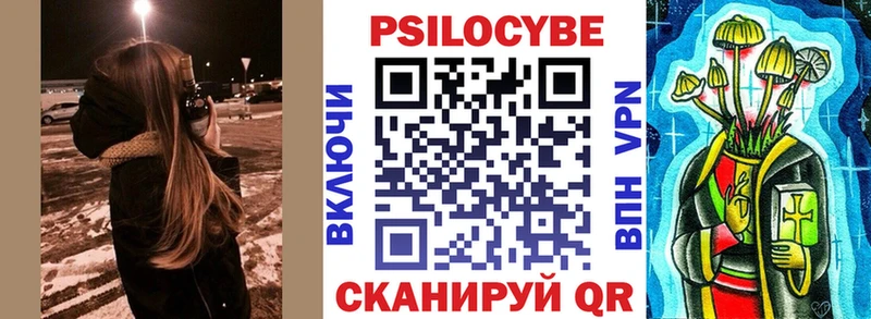 Галлюциногенные грибы Psilocybe  Томилино 